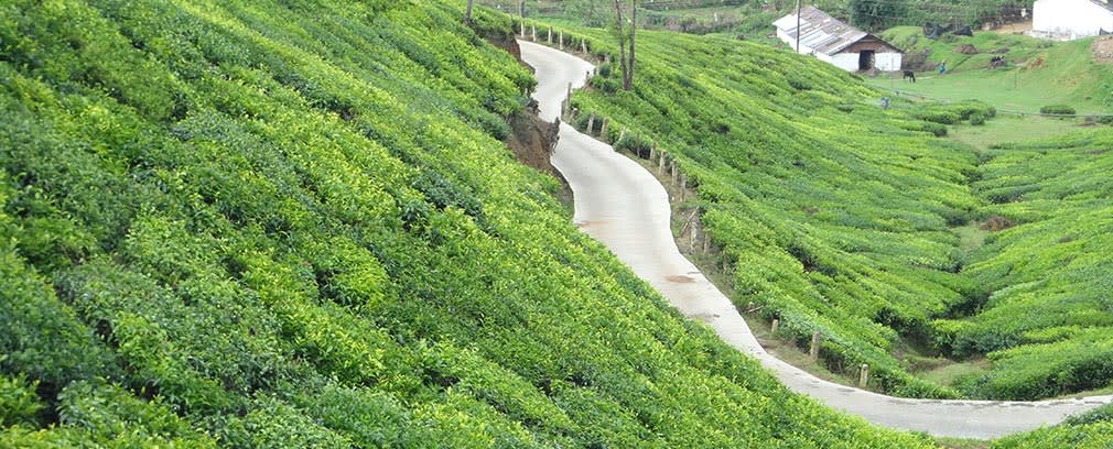Top_Station_Kundala_Single_lane_bliss
